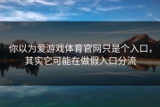 你以为爱游戏体育官网只是个入口，其实它可能在做假入口分流