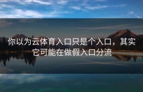 你以为云体育入口只是个入口，其实它可能在做假入口分流