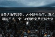 B费这场不对劲，大小球先动了，真相可能不止一个：49图库免费资料大全那