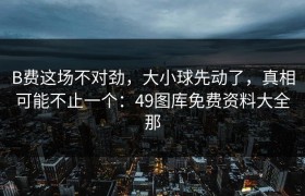 B费这场不对劲，大小球先动了，真相可能不止一个：49图库免费资料大全那