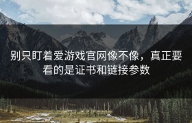 别只盯着爱游戏官网像不像，真正要看的是证书和链接参数