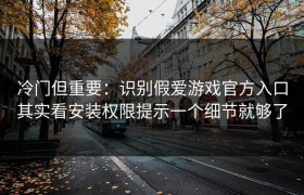 冷门但重要：识别假爱游戏官方入口其实看安装权限提示一个细节就够了