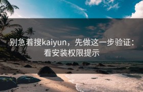 别急着搜kaiyun，先做这一步验证：看安装权限提示