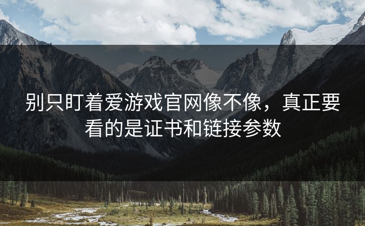 别只盯着爱游戏官网像不像，真正要看的是证书和链接参数